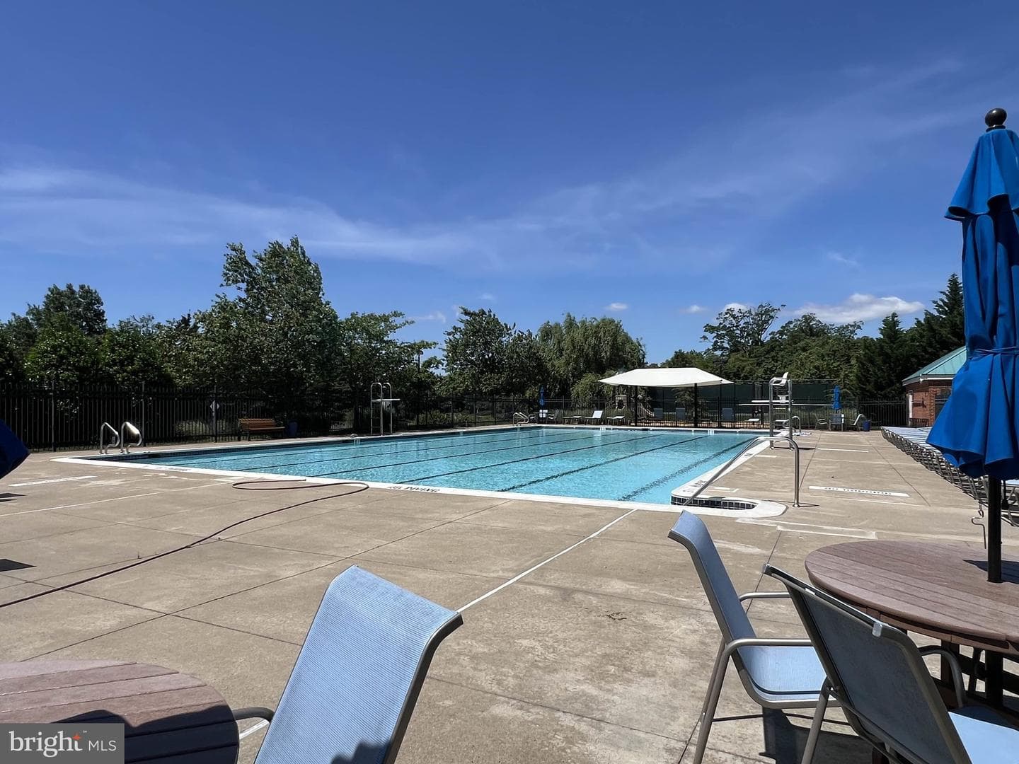 440 Belmont Bay Drive #404 photo 50