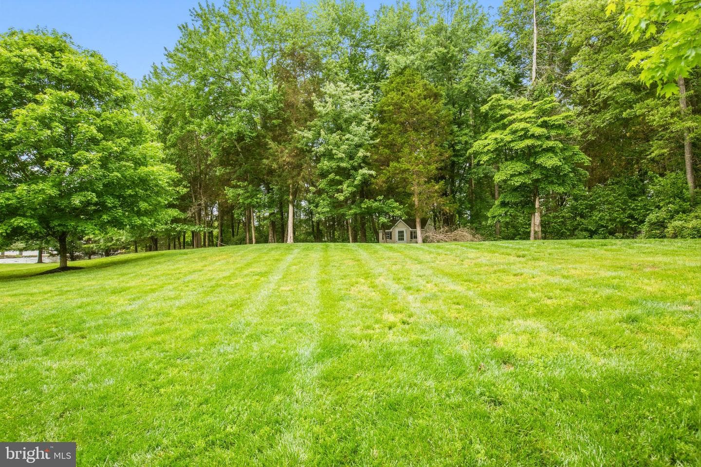 5528 Roan Chapel Drive photo 60