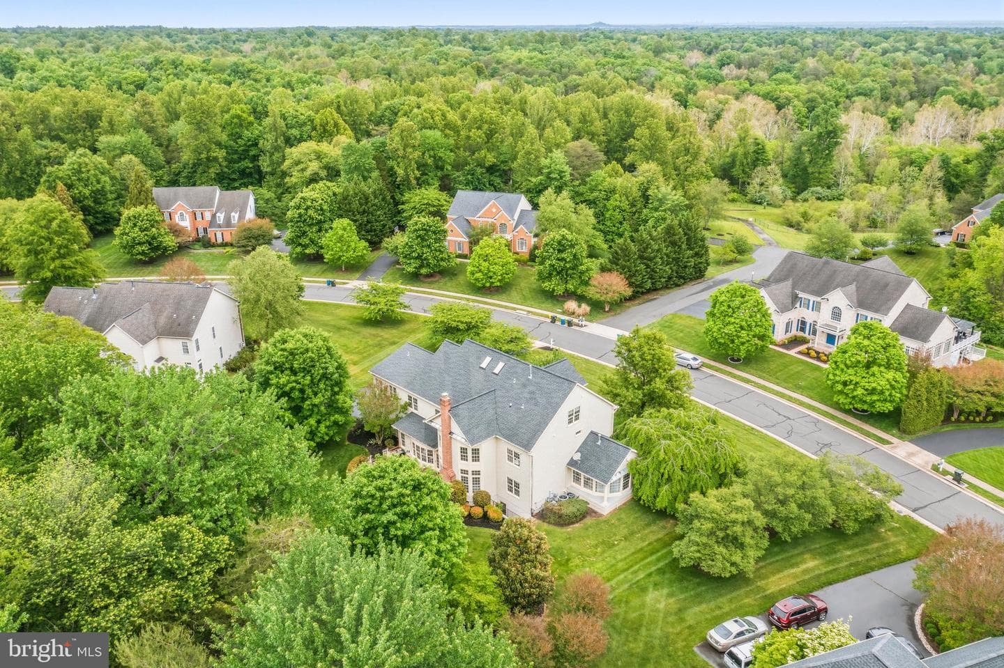5528 Roan Chapel Drive photo 65
