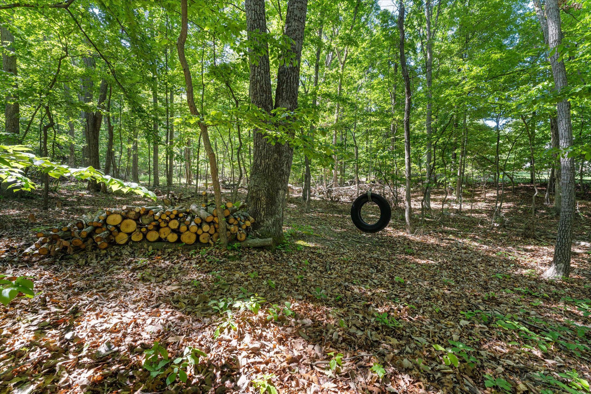 3800 Mountain Road photo 21
