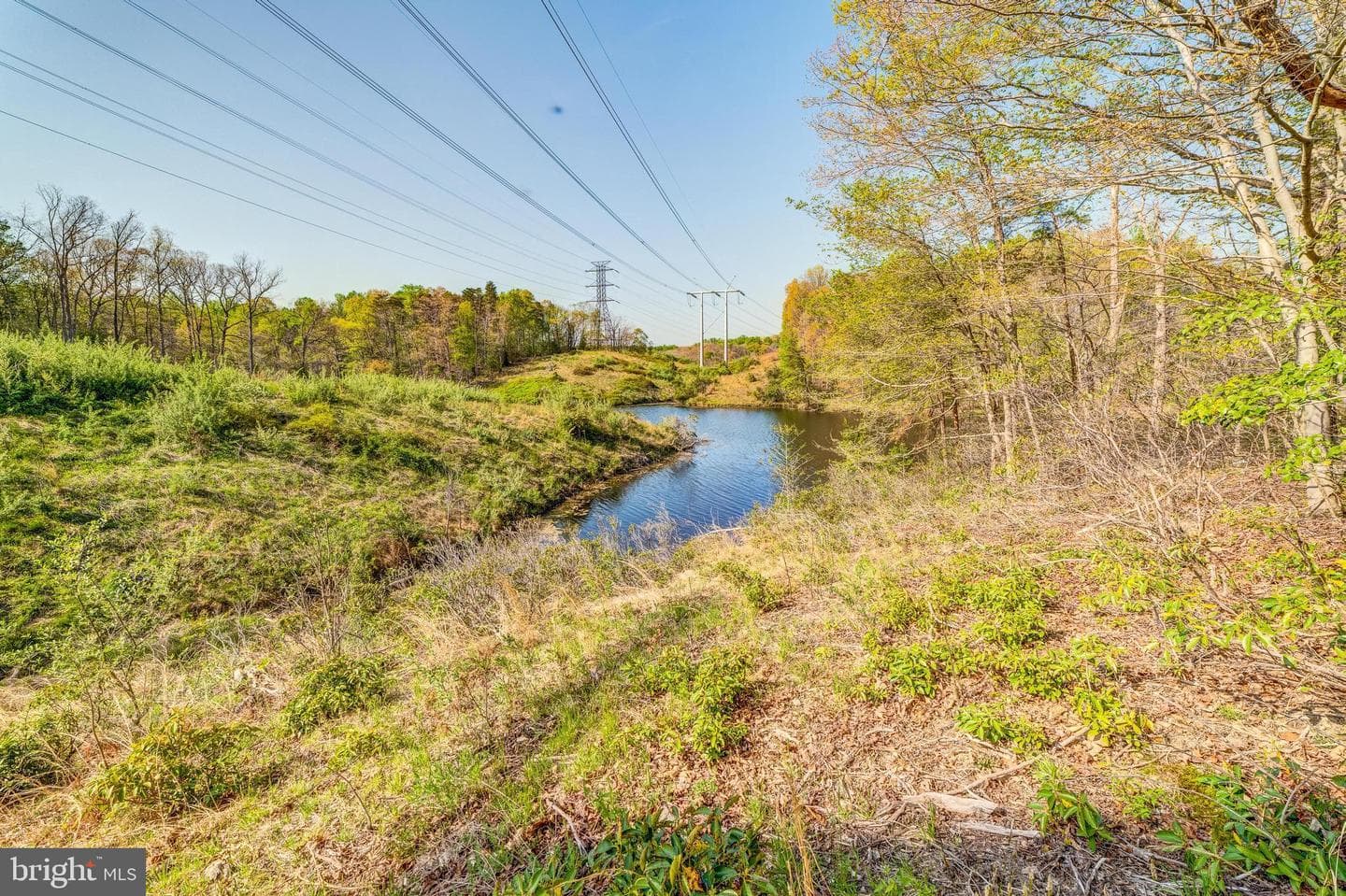 11989 Point Longstreet Way photo 59