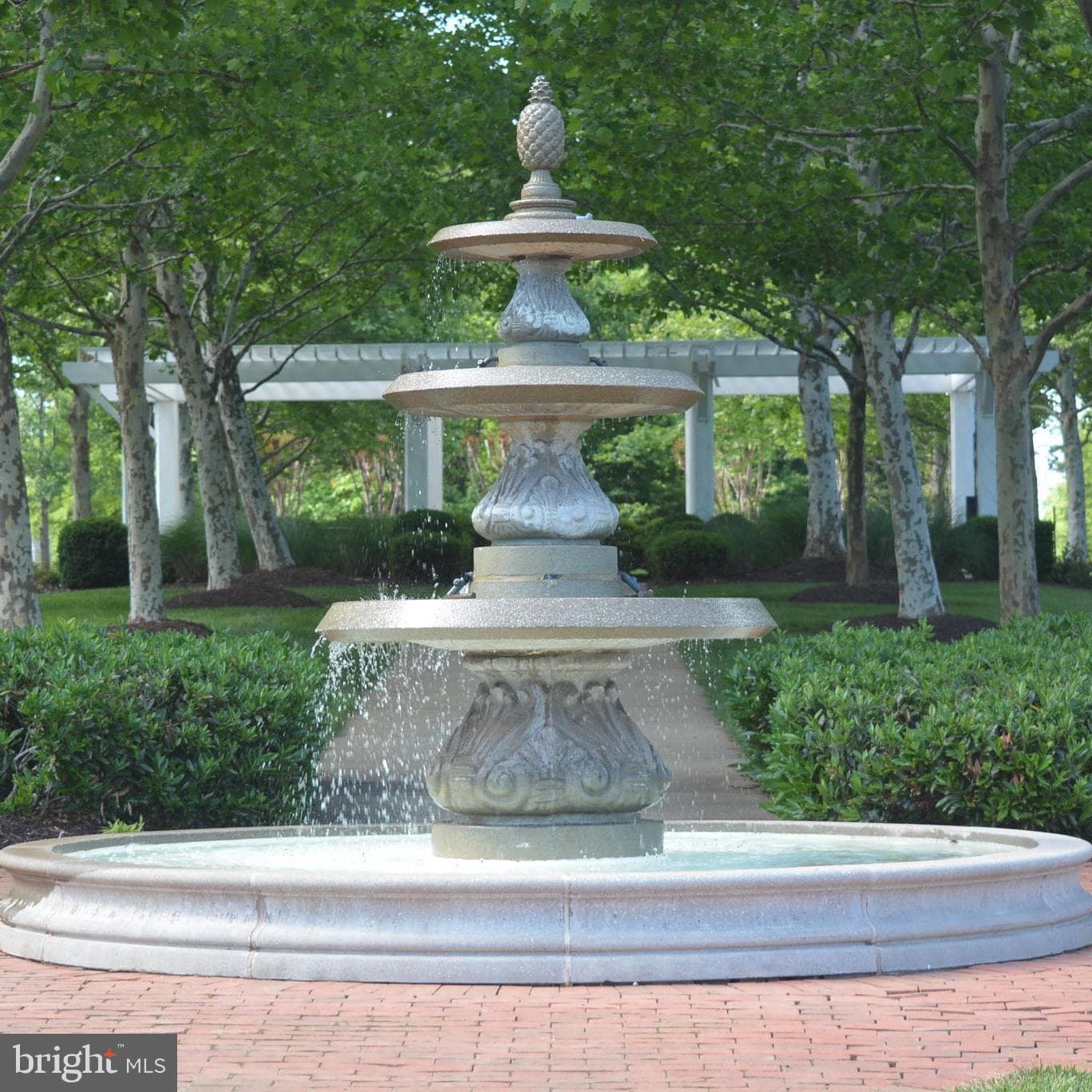 15829 Fourmile Creek Court photo 78
