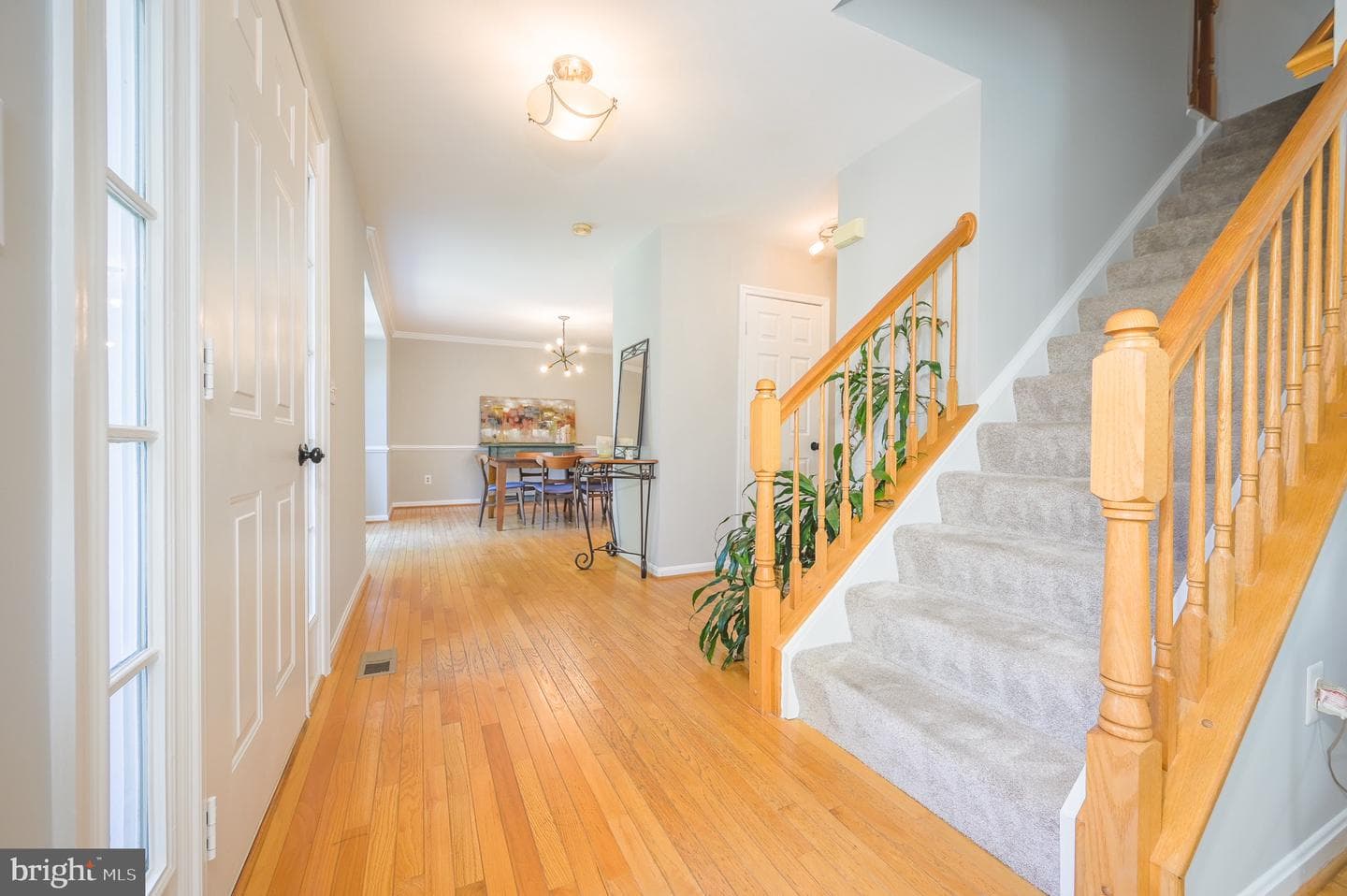 4929 Frishman Court photo 4