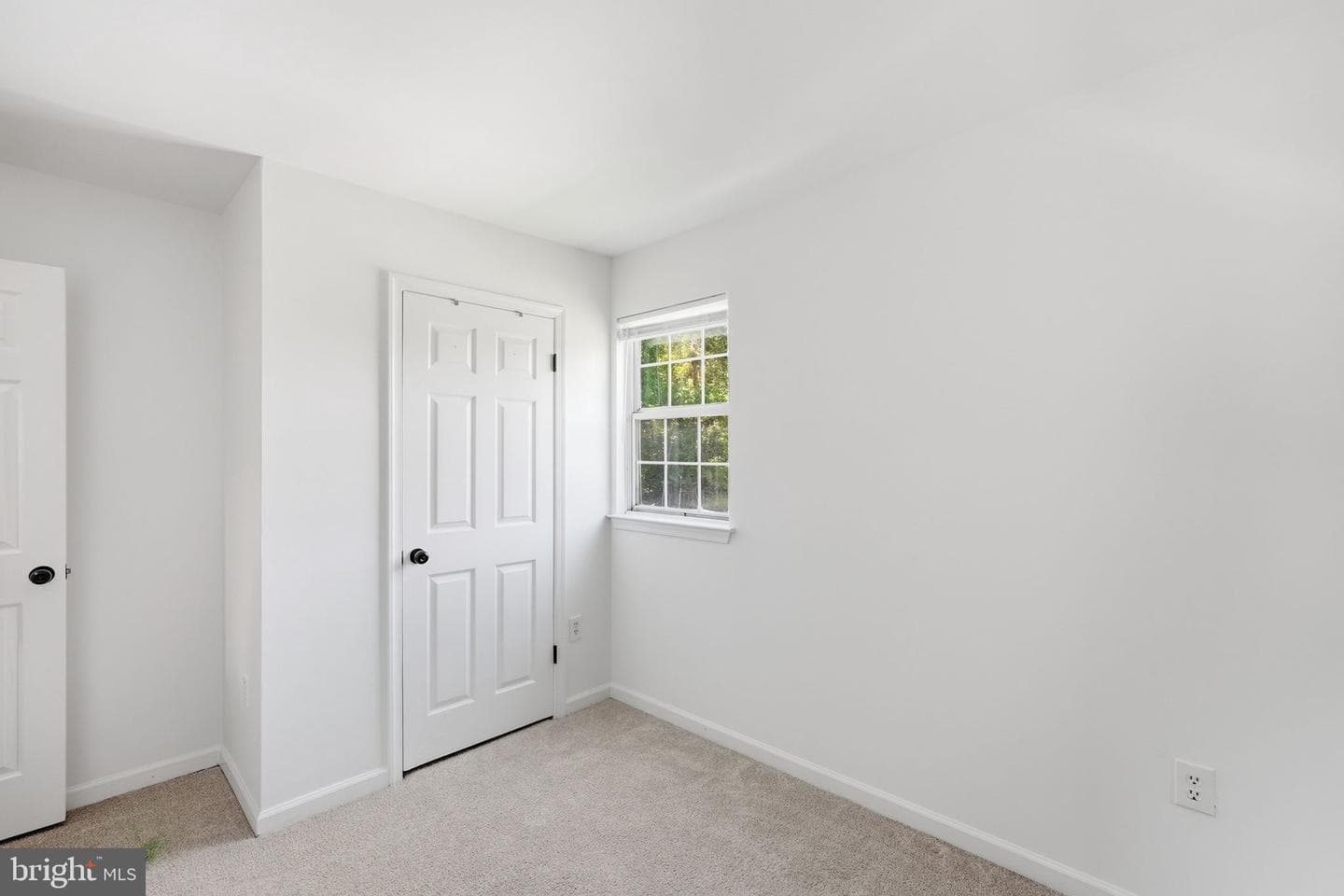 13345 Packard Drive photo 20