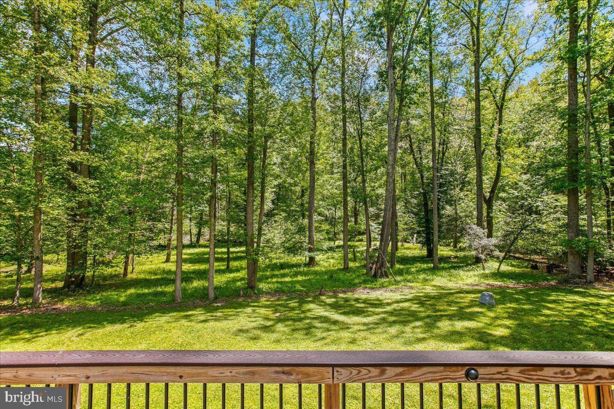 14540 Idlebrook Court photo 56