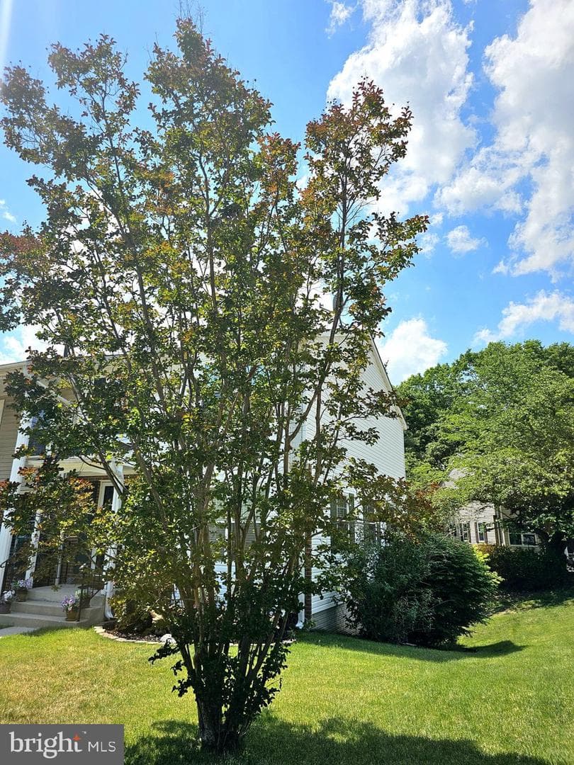 15110 Catalpa Court photo 11