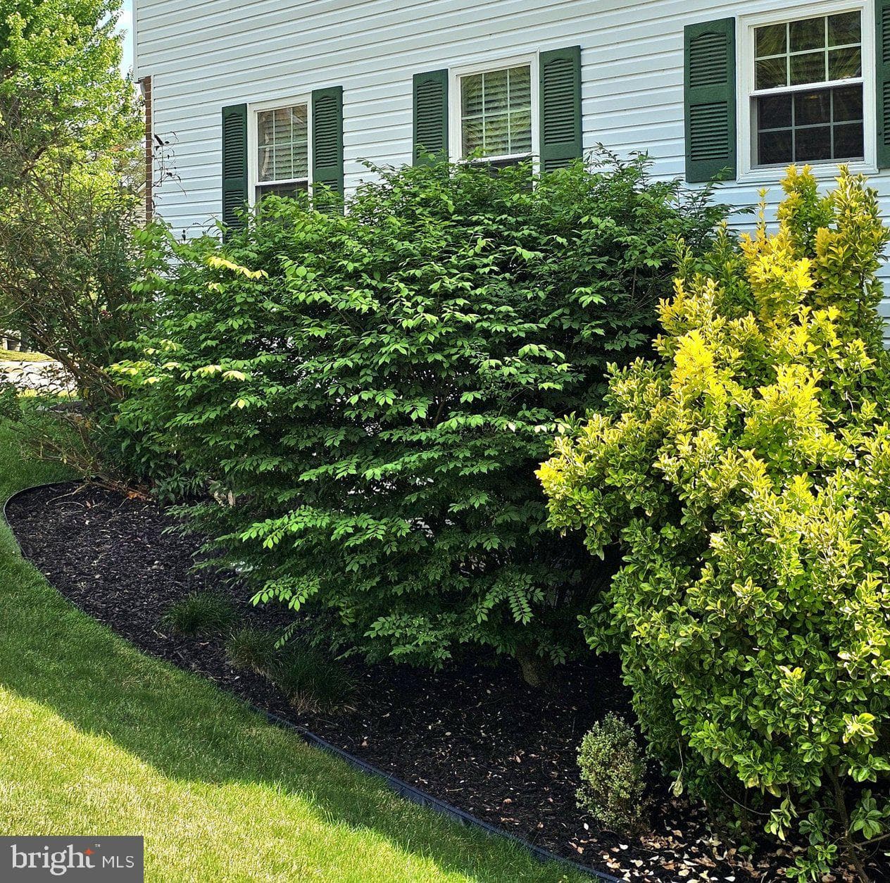 15110 Catalpa Court photo 12