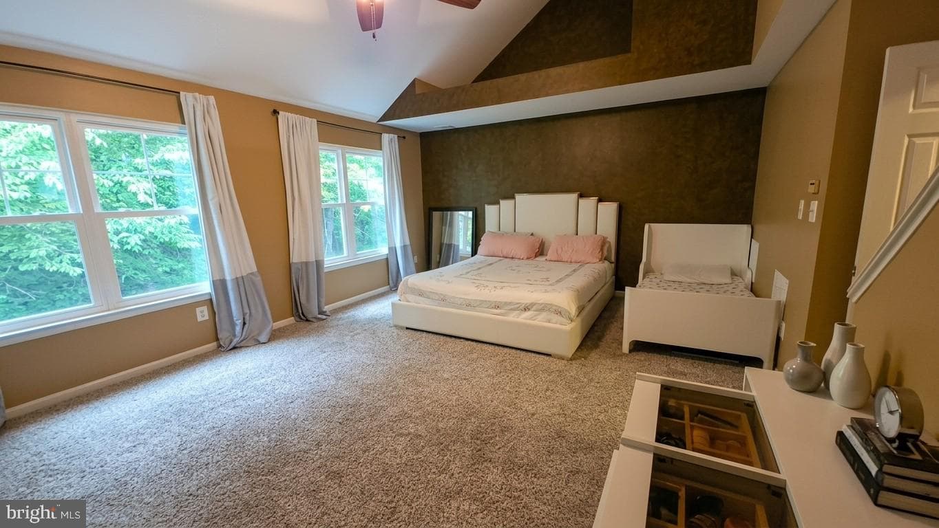 11614 Nellings Place photo 32