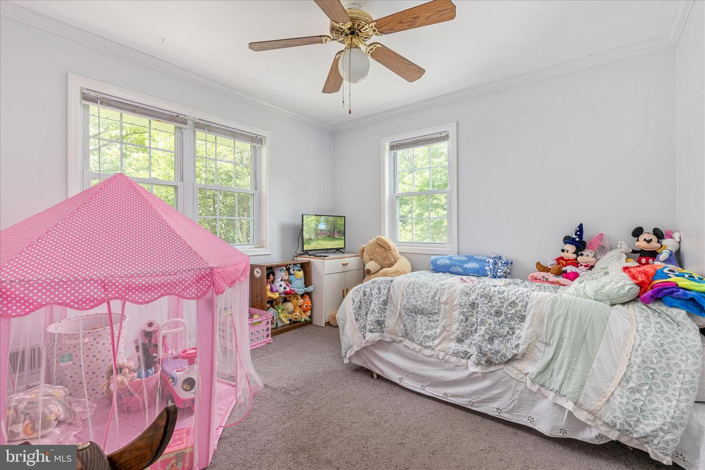 7817 Howard Street photo 29