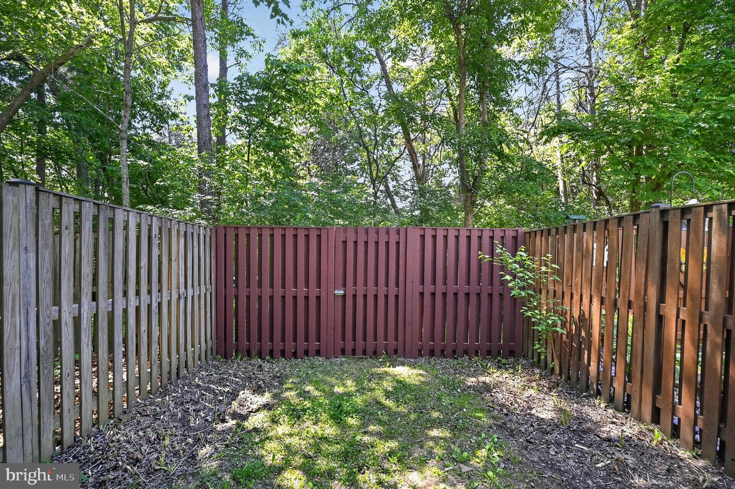 13453 Colesmire Gate Way photo 24
