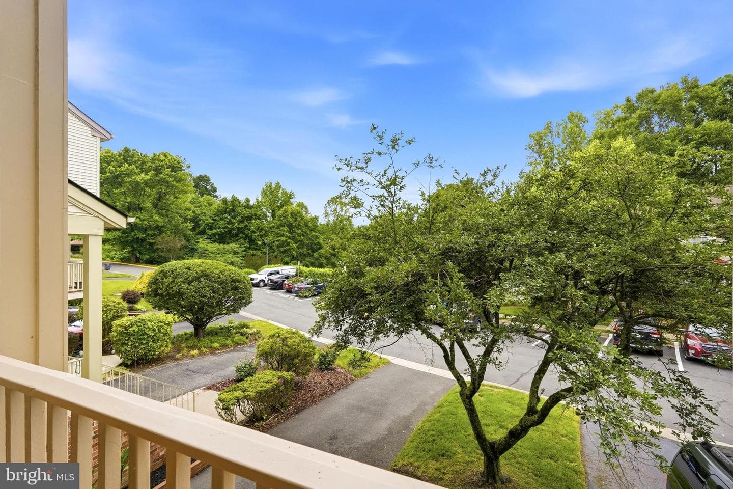 15646 Montview Drive photo 18