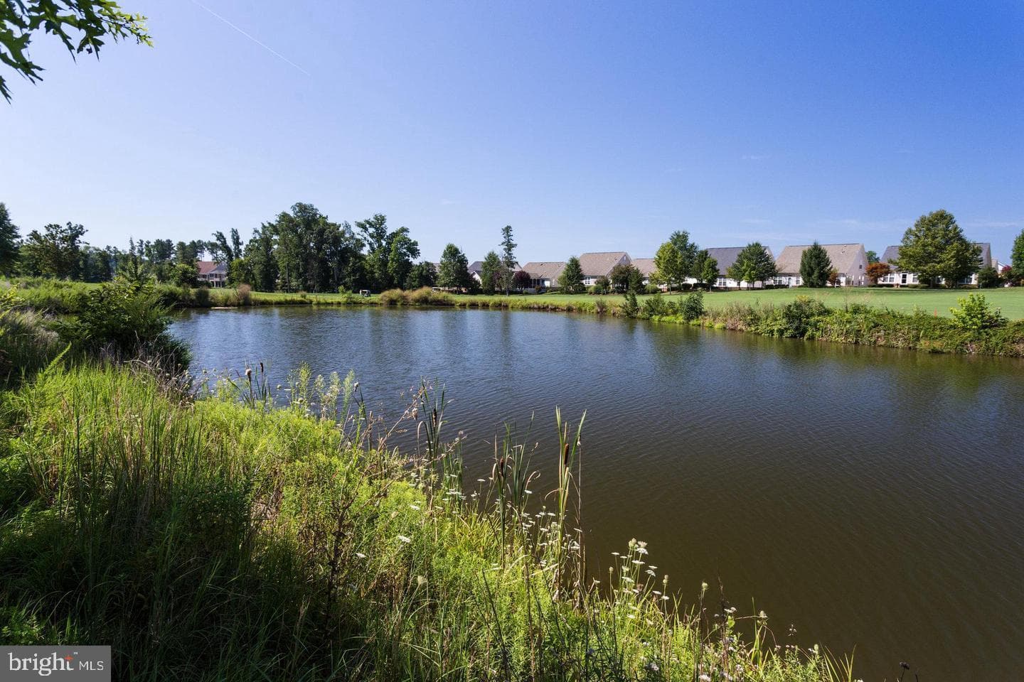 13891 Chelmsford Drive #304 photo 73