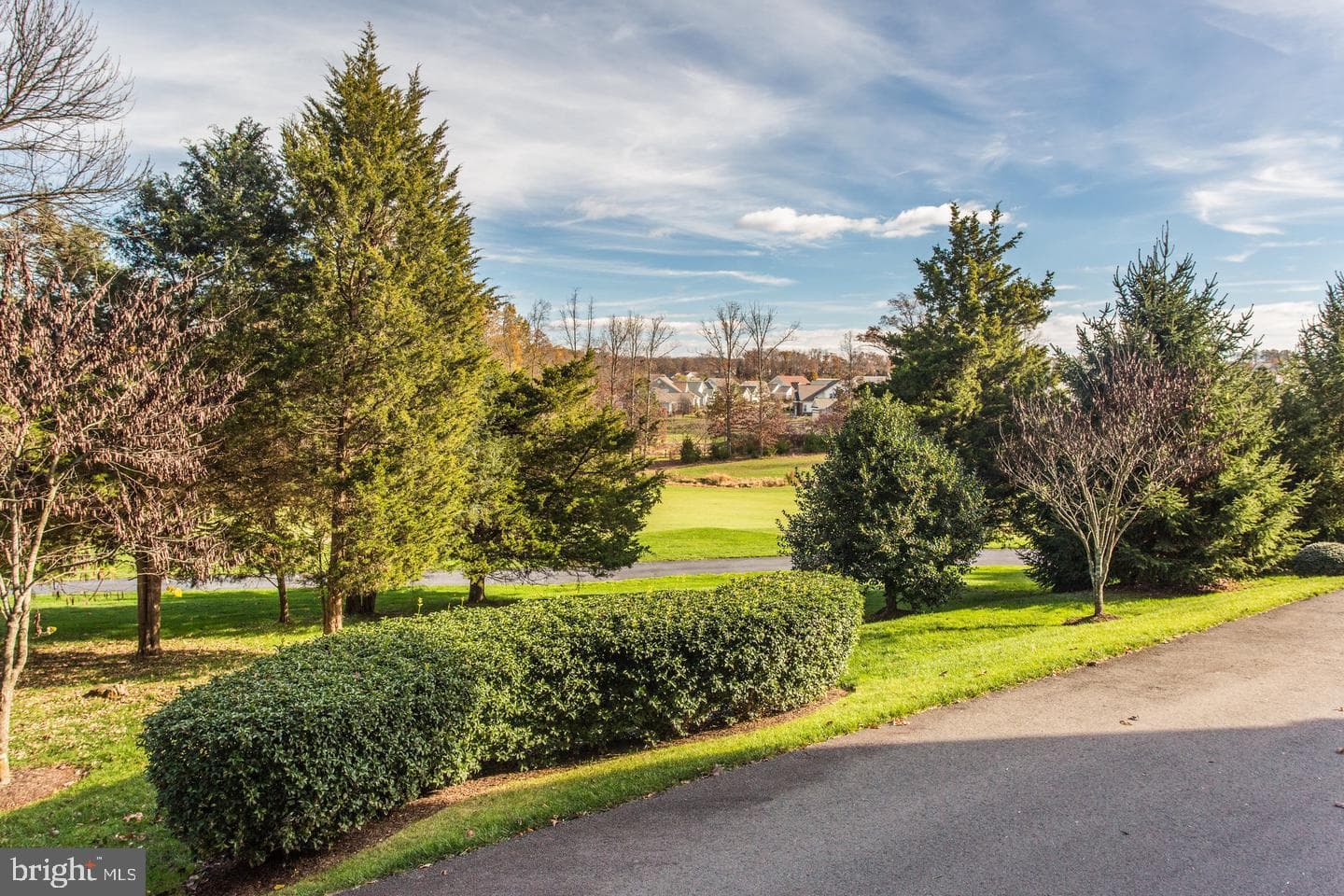 13891 Chelmsford Drive #304 photo 74