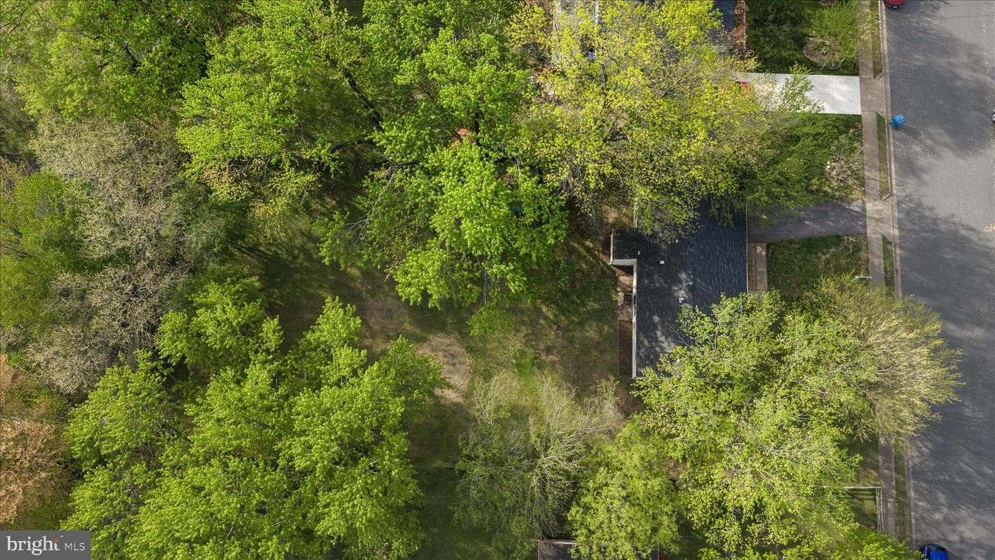 7905 Lomond Court photo 25