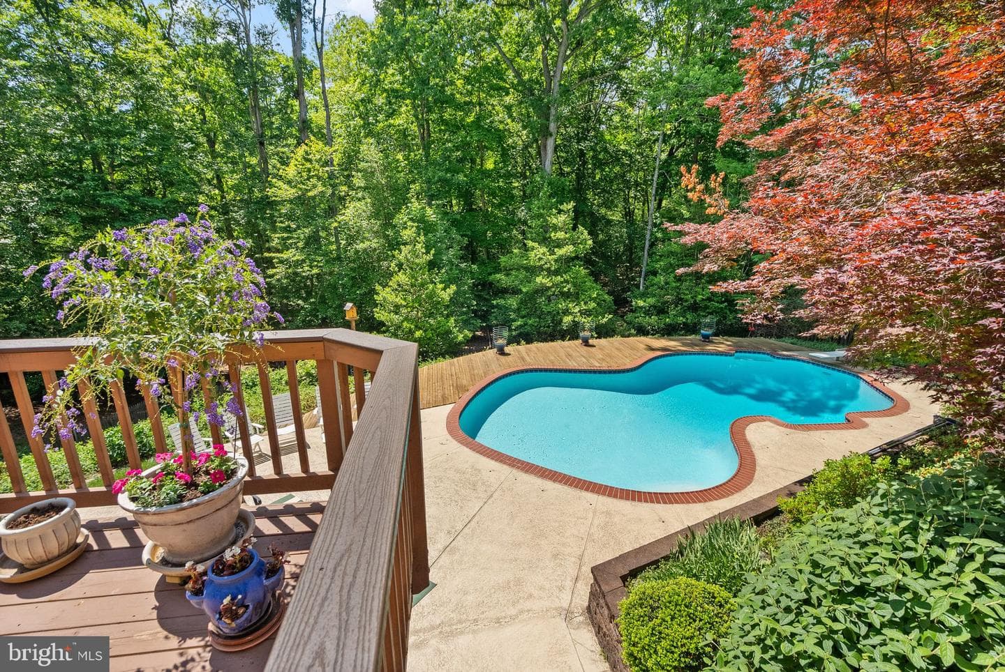 4924 Wood Lilly Court photo 66