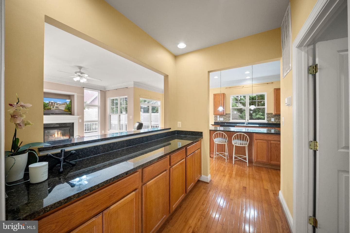 12429 Calypso Falls Way photo 12