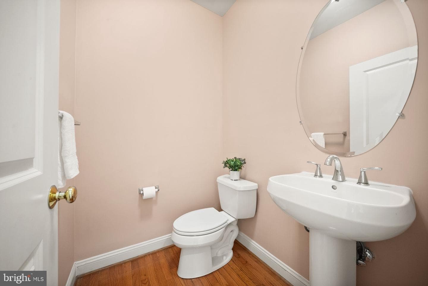 12429 Calypso Falls Way photo 25