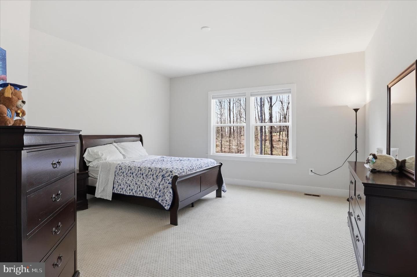 12754 Classic Springs Drive photo 45