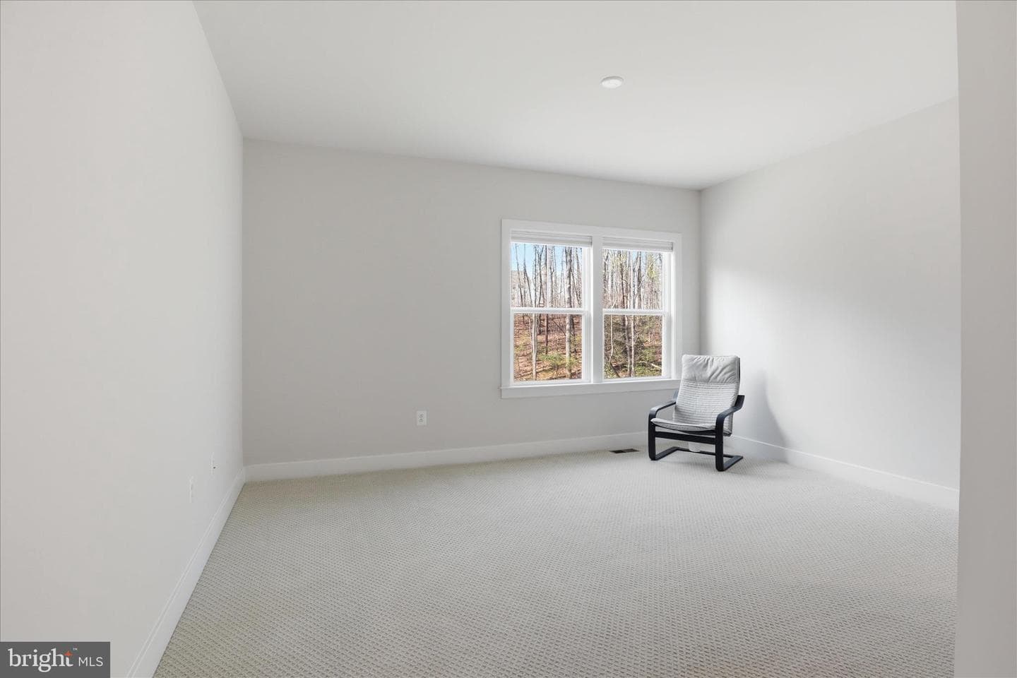12754 Classic Springs Drive photo 47