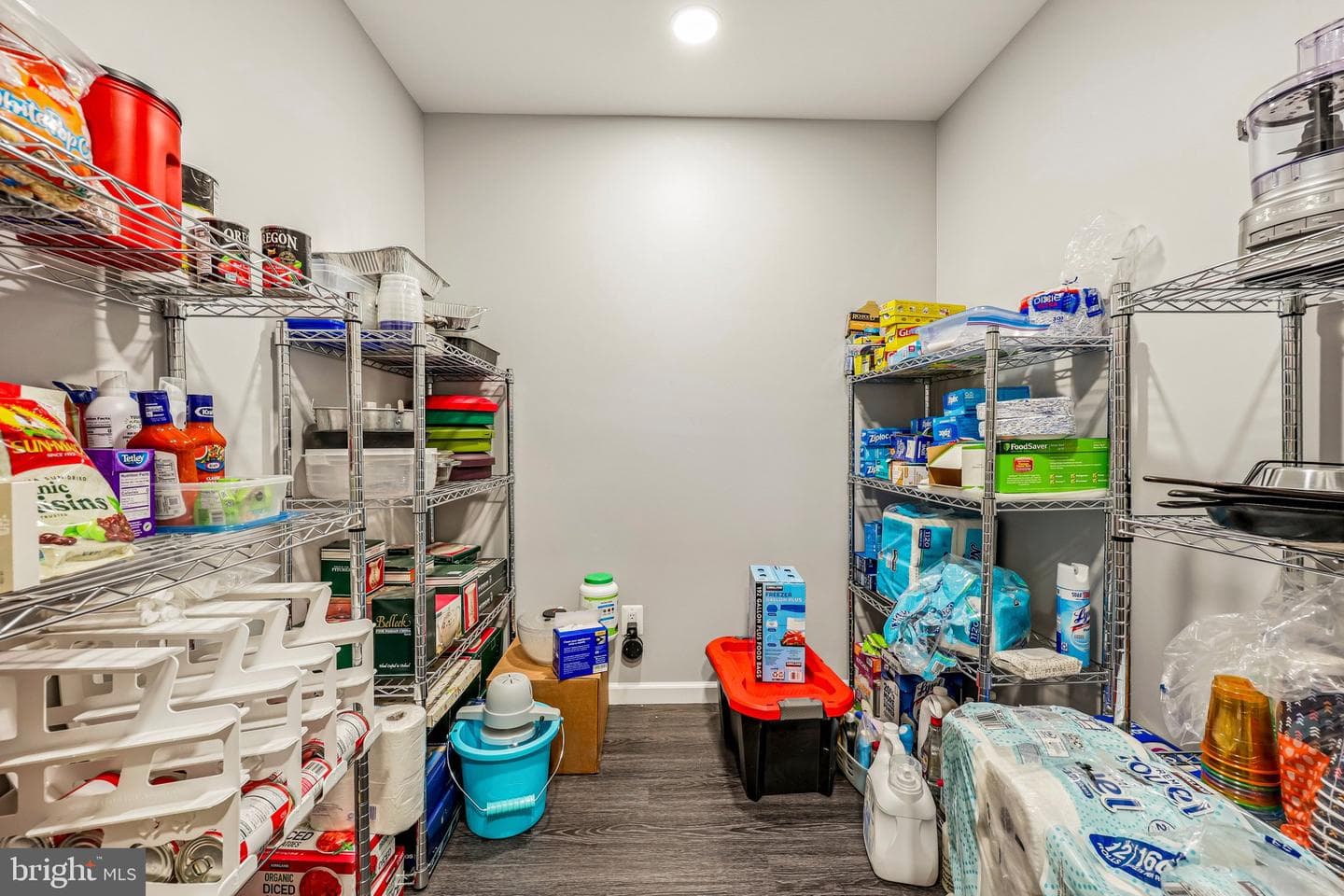 12020 Valcour Island Way photo 51
