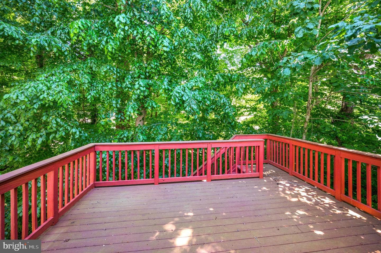 11837 Parliament Drive photo 44