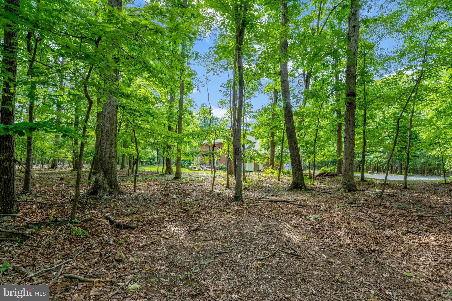 3400 Mountain Road photo 61