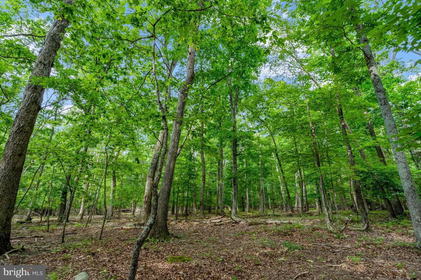 3400 Mountain Road photo 62