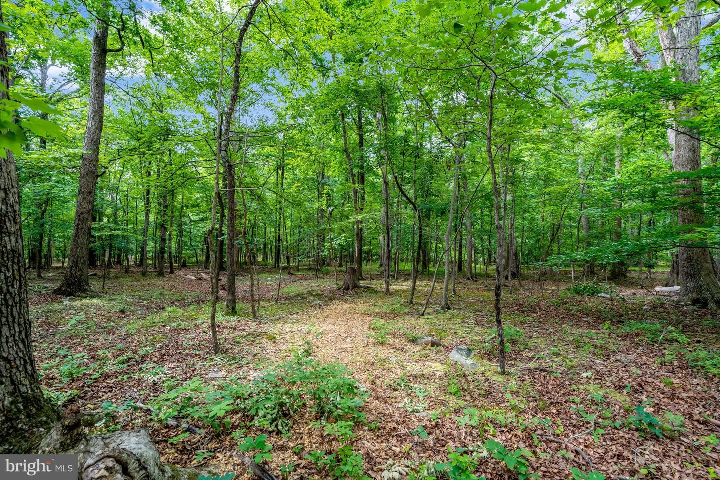 3400 Mountain Road photo 68
