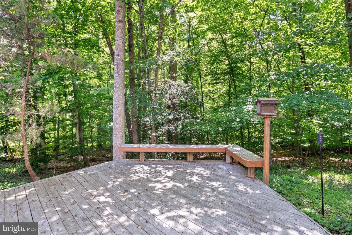 12478 Cavalier Drive photo 49
