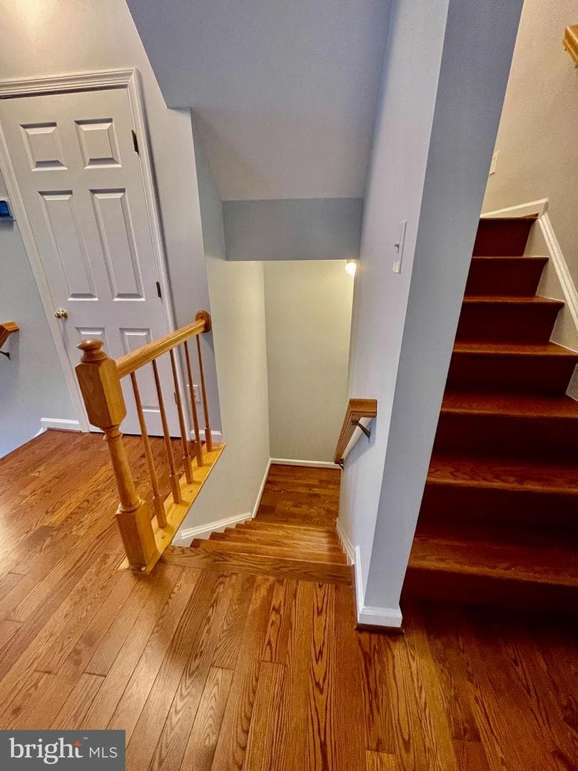 4109 Plymbridge Lane photo 20