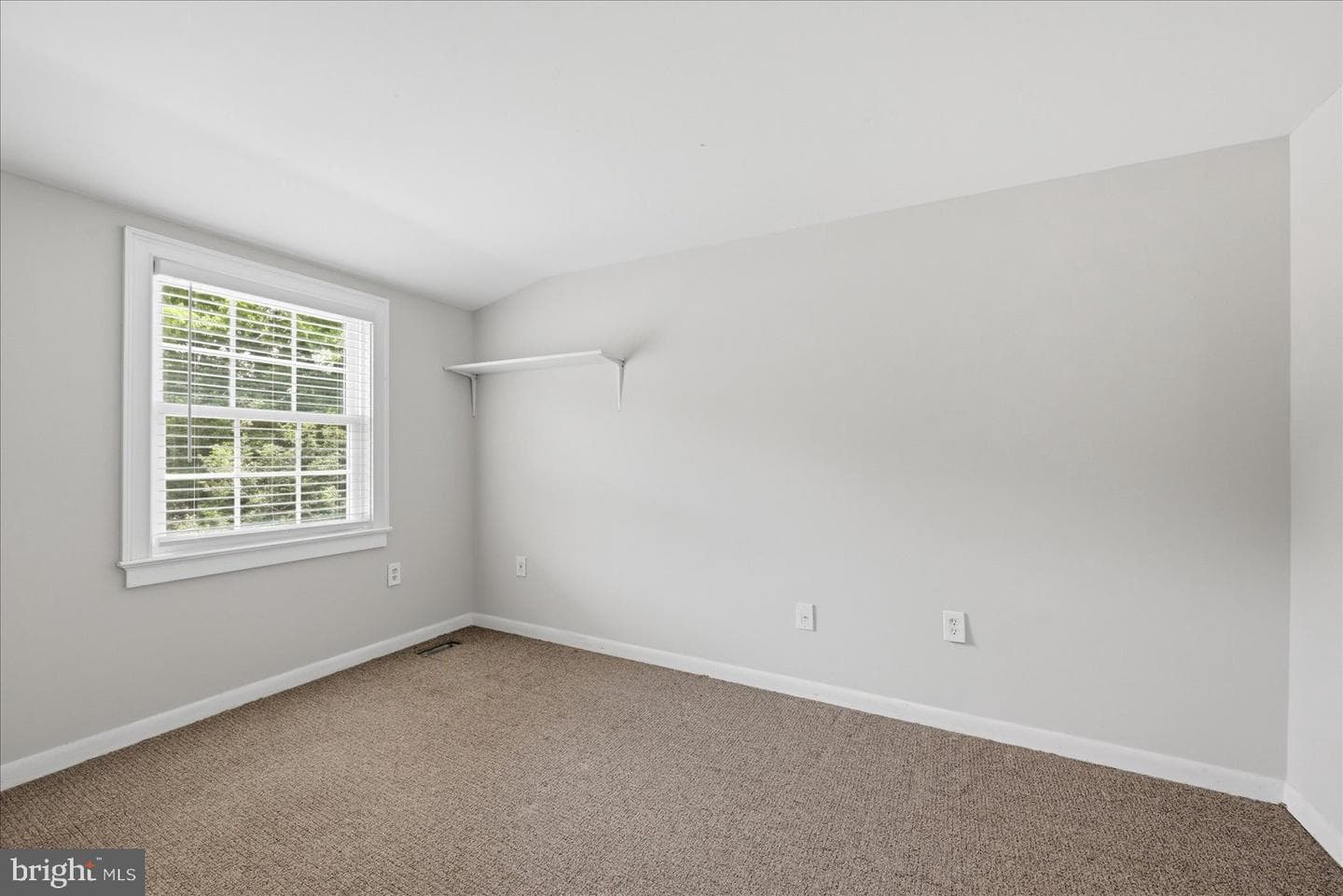 5388 Shamus Court photo 11
