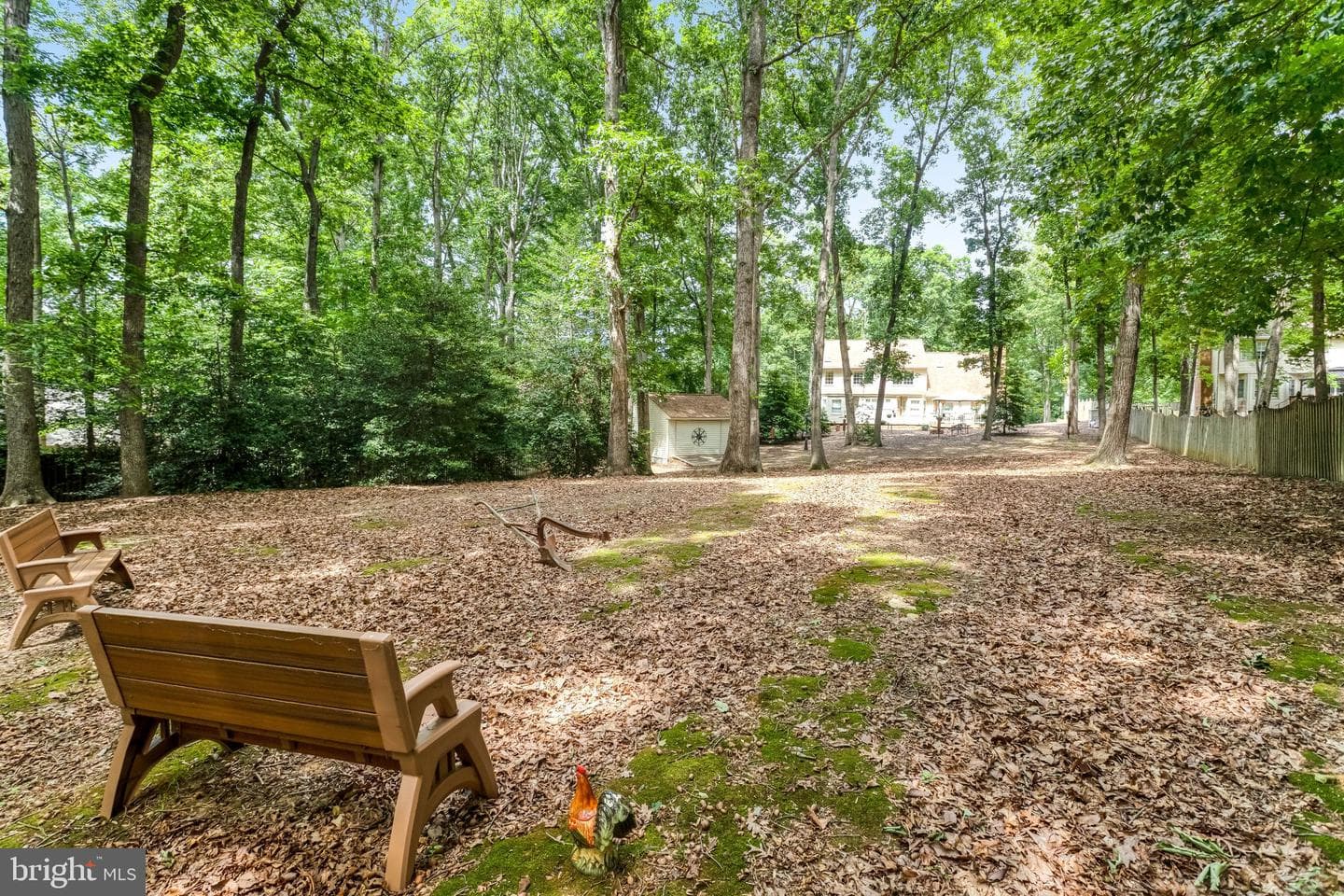13452 Natick Drive photo 49