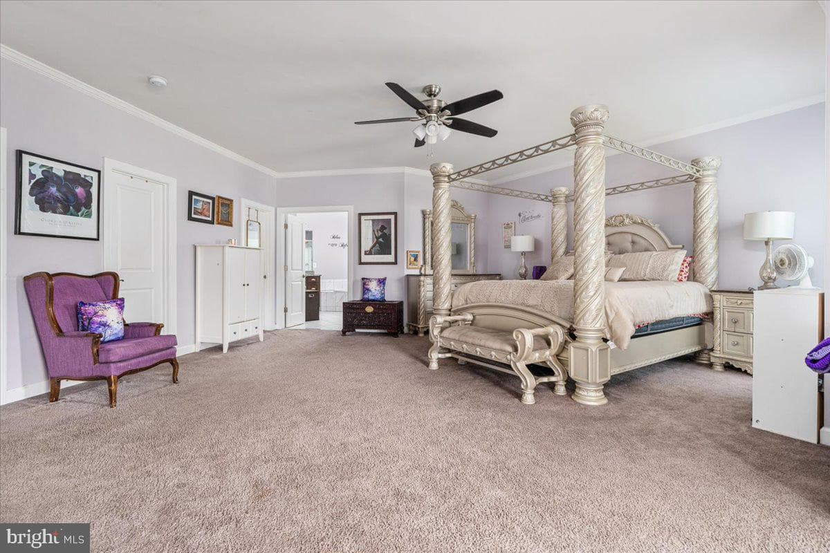 12137 Hickory Falls Court photo 28