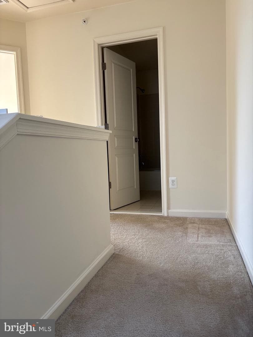 12757 Lotte Dr photo 19
