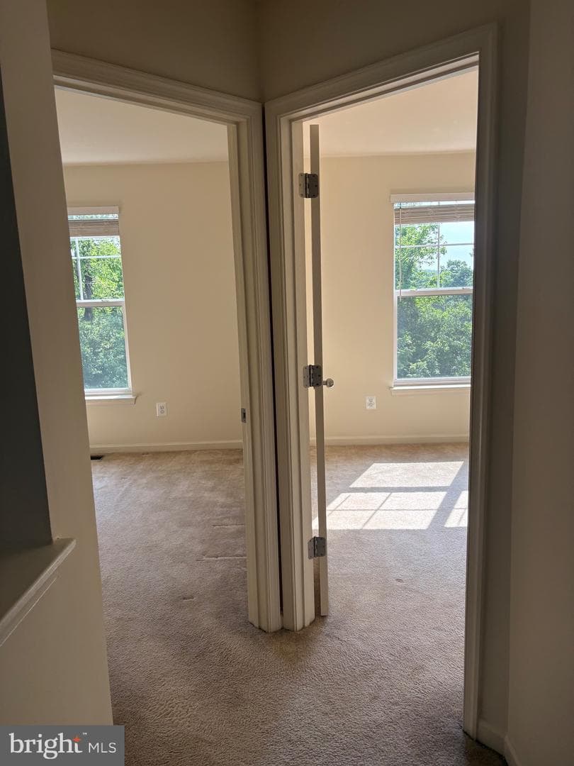 12757 Lotte Dr photo 20