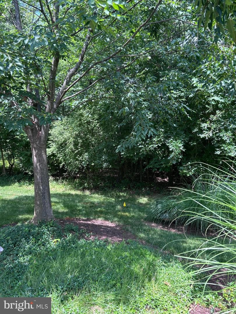 5219 Armour Court photo 54