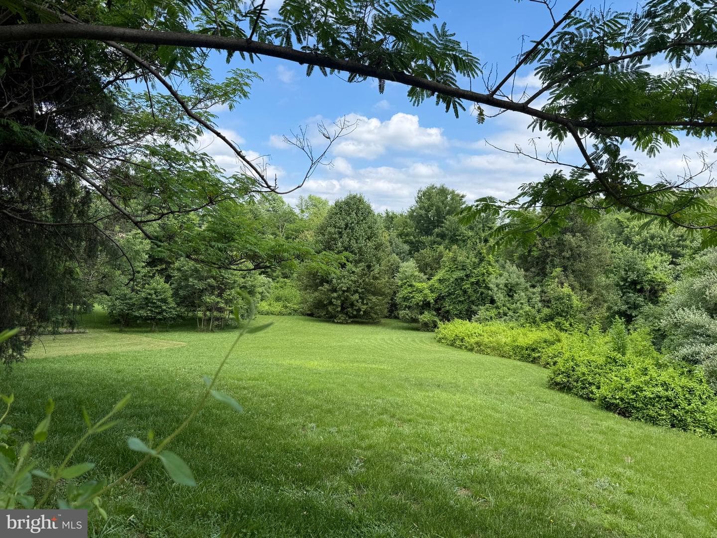10023 Lake Jackson Drive photo 15
