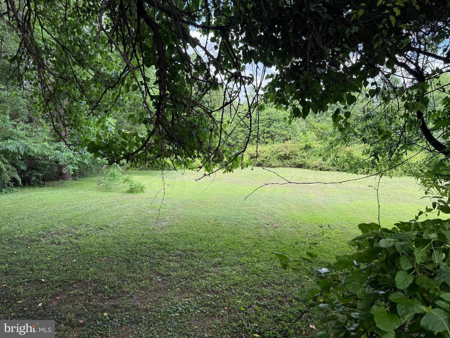 10023 Lake Jackson Drive photo 16