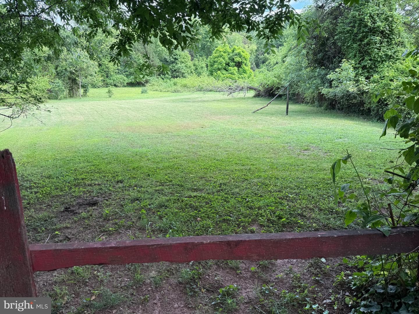 10023 Lake Jackson Drive photo 18