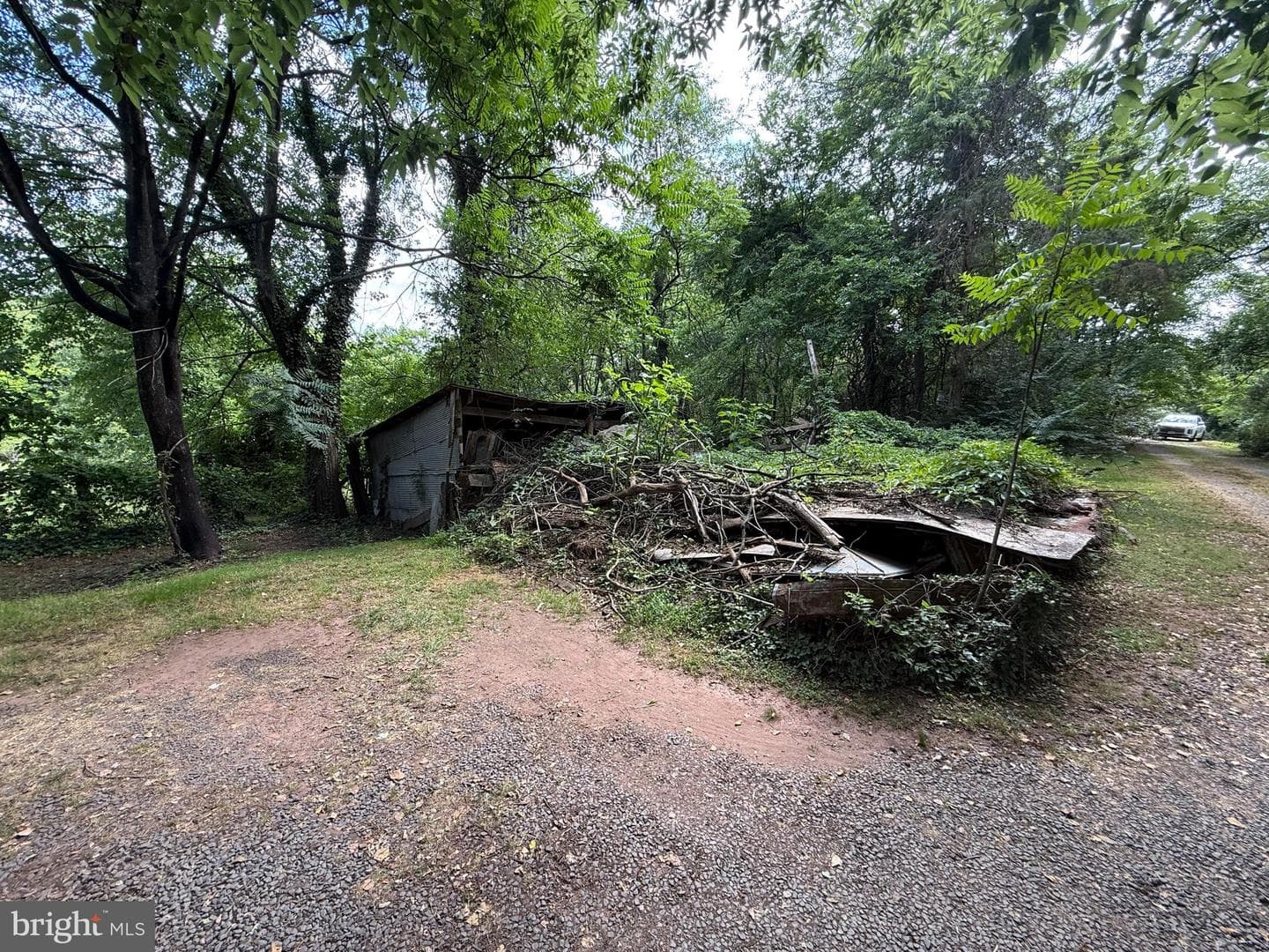 10023 Lake Jackson Drive photo 24