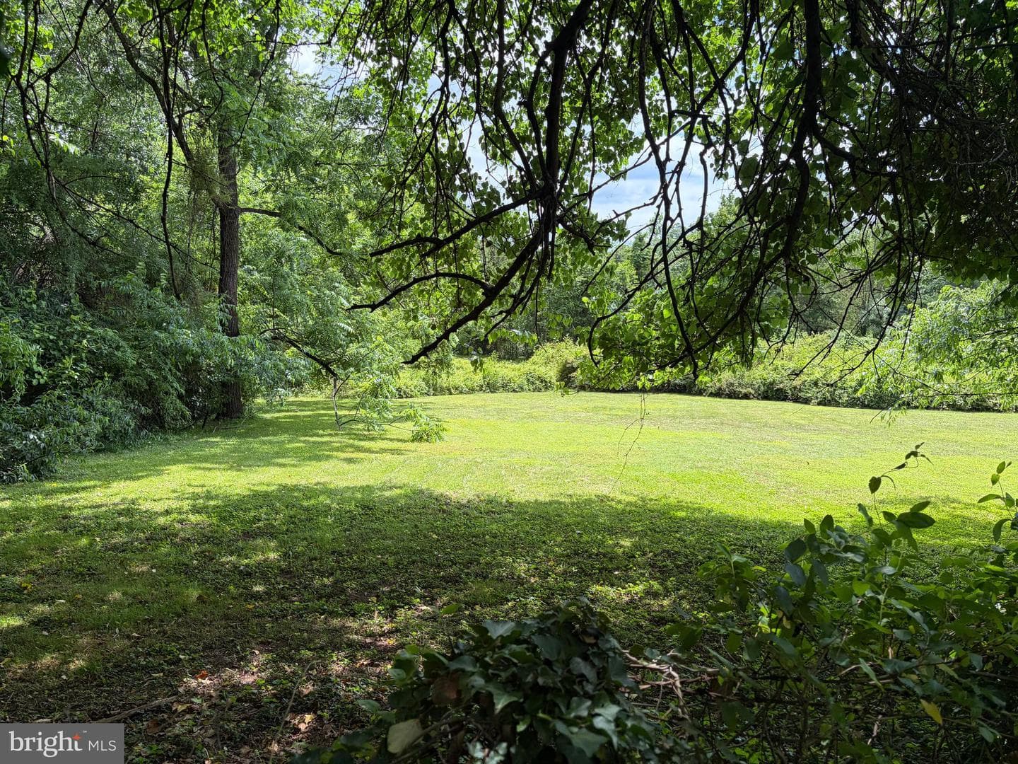 10023 Lake Jackson Drive photo 31