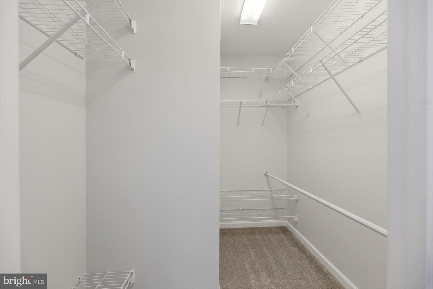 2919 Gilder Way #81 photo 19
