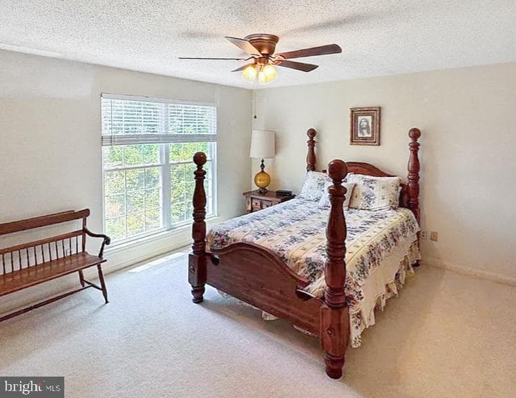 13220 Oak Farm Drive photo 17