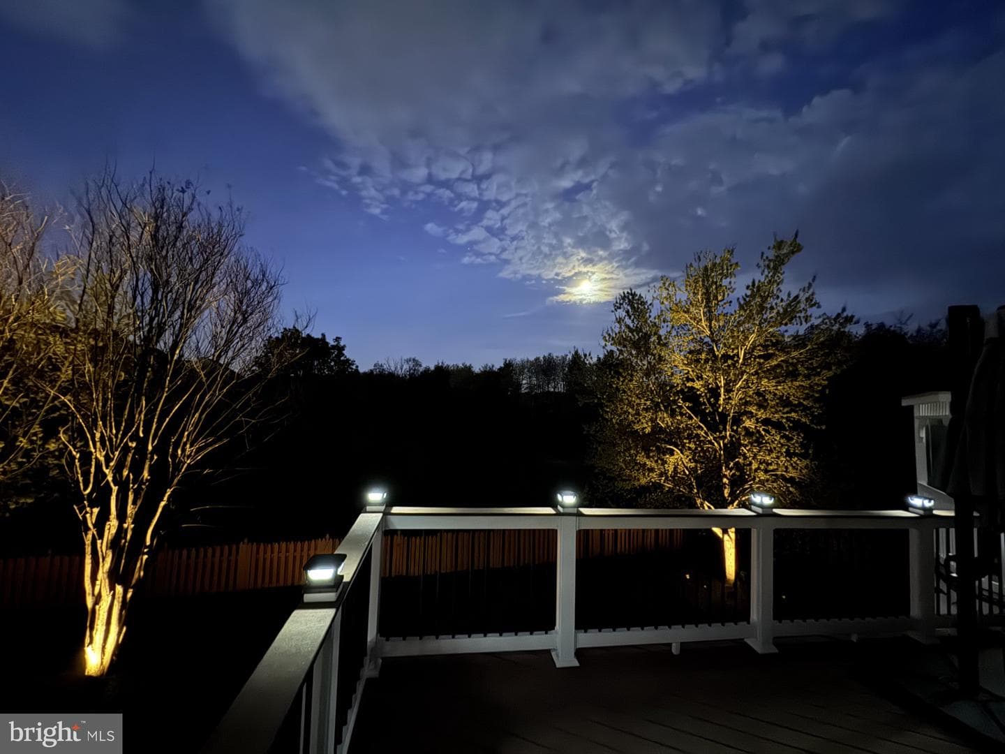 15043 Gaines Mill Circle photo 53