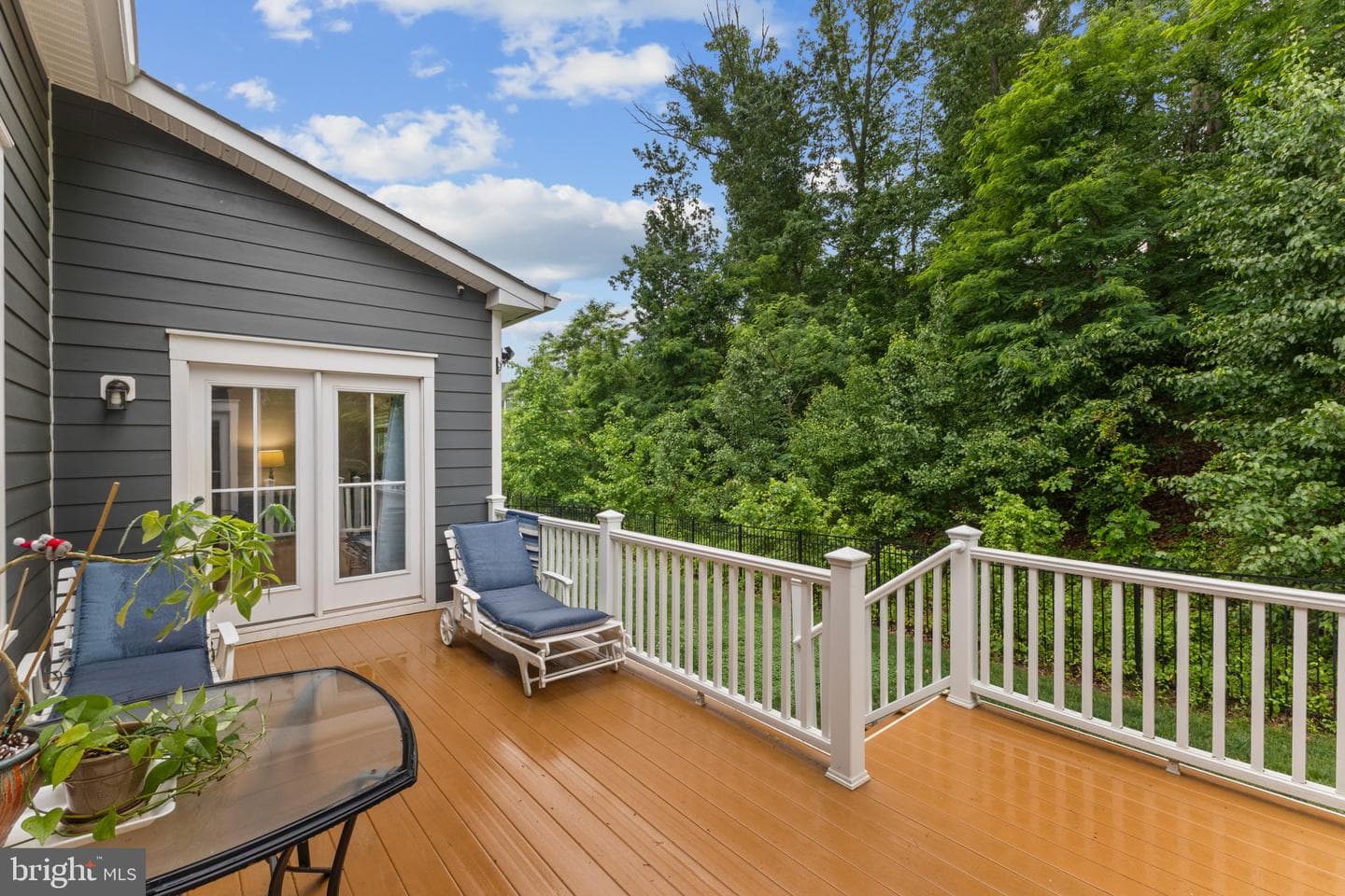 2629 Crossvine Drive photo 39