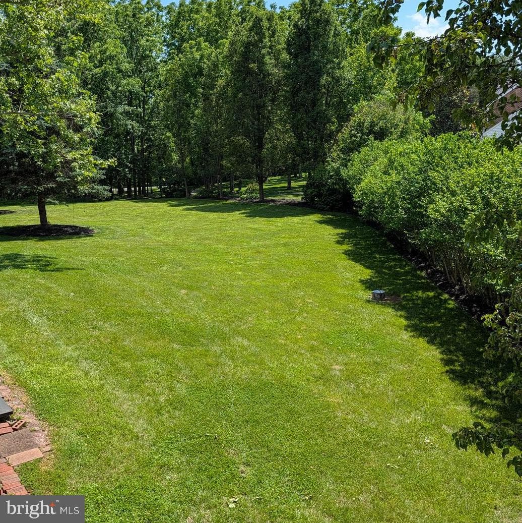 13870 Shelter Manor Drive photo 45