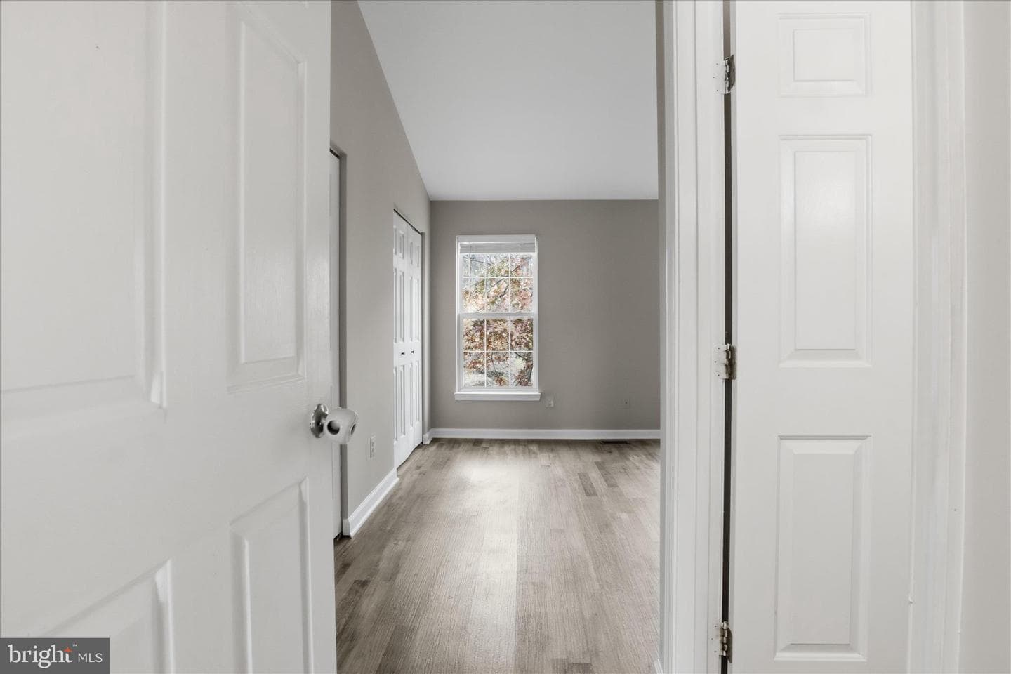 2038 Stargrass Court photo 16