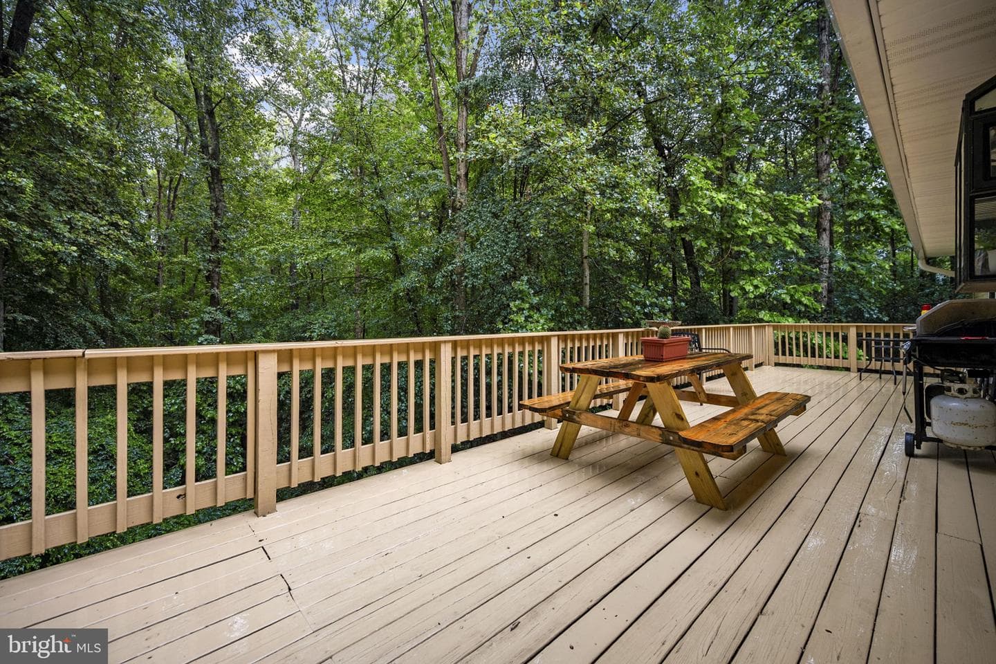 11039 Timberview Drive photo 52