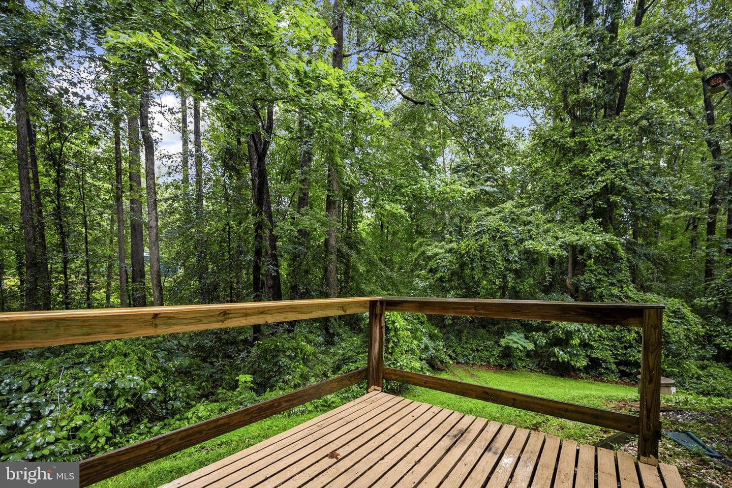 11039 Timberview Drive photo 57