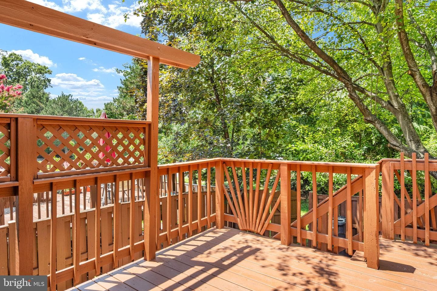 12894 Effingham Court photo 45